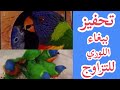 تحفيز ببغاء اللوري علي التزاوج