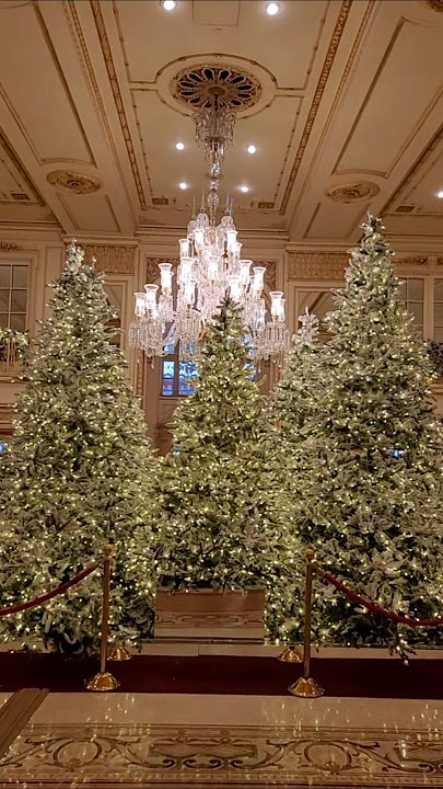 Christmas at The Plaza Hotel 🎄#brunnonewyork #Christmas #ThePlazahotel