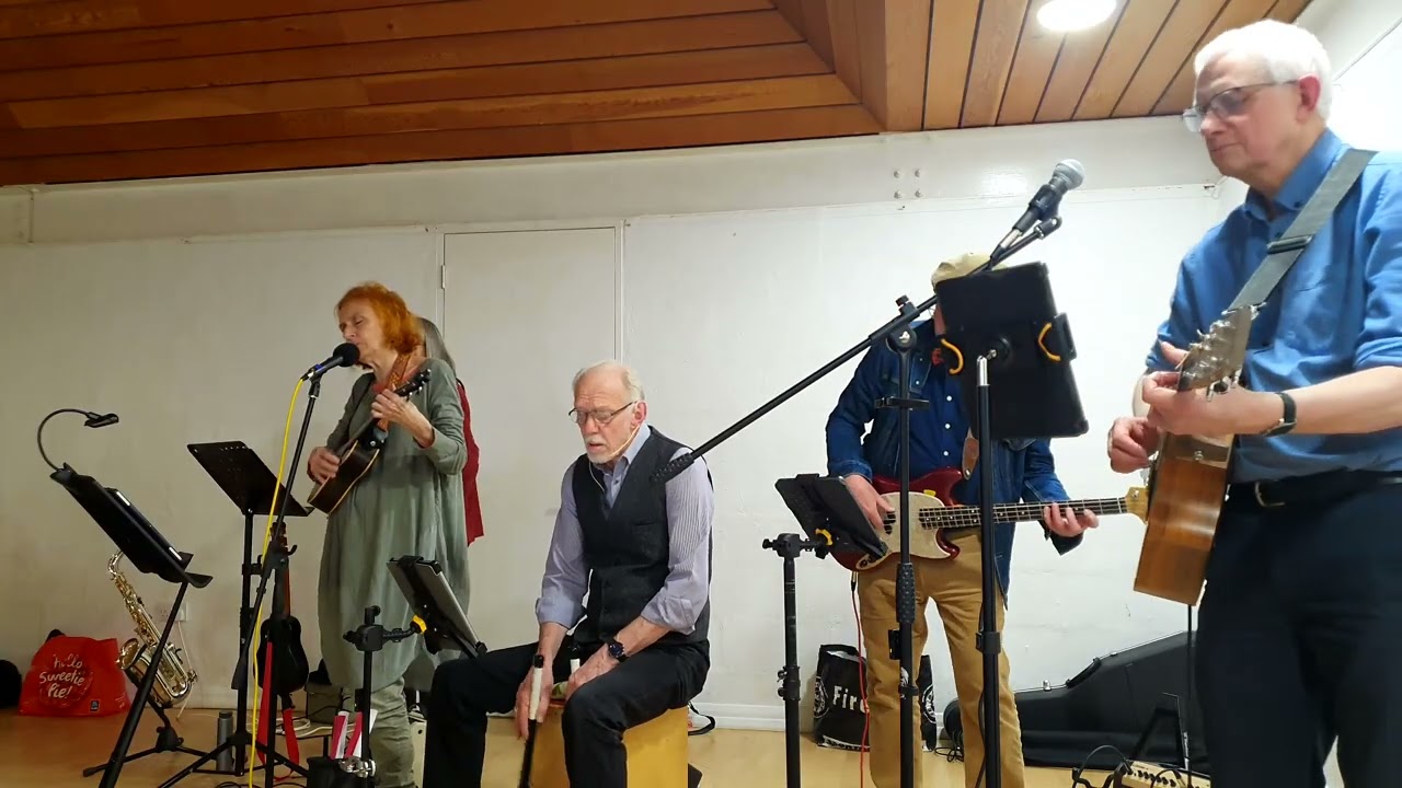 HARVEST MOON (Neil Young) performed by The Pilferers