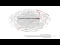 COVID-19: Neurology on the Leading Edge: Lessons from the Pandemic in Italy - AAN