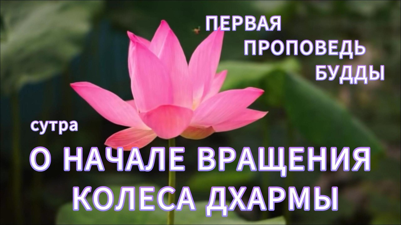 Сутра о Начале вращения Колеса Дхармы #будда #страдание #истина