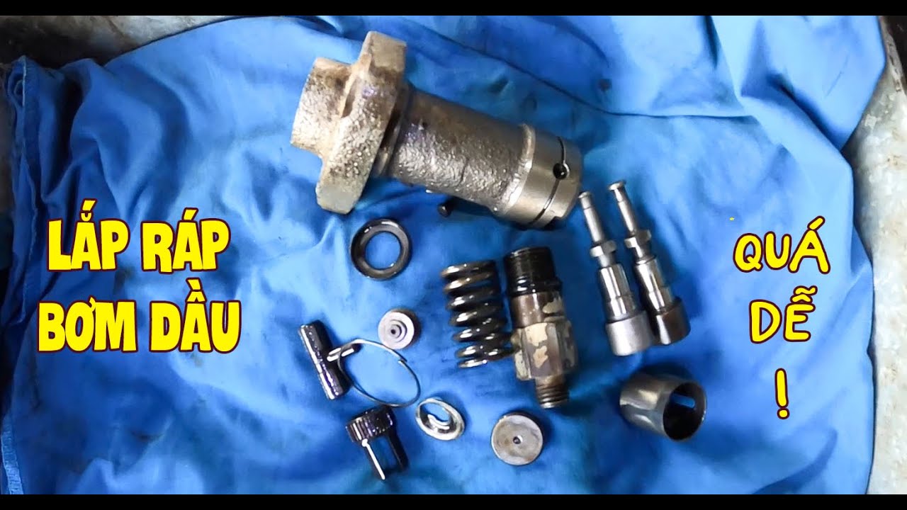 Hướng Dẫn Thực Hành Lắp Ráp Bơm Cao Áp ( Heo Dầu ) Động Cơ Kubota -- Vikyno . Ai Cũng Làm Được