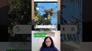 Organize Arquivos do WhatsApp no Google Drive Facilmente! #shorts
