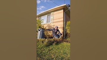 Insane Weeding Transformation Time Lapse (Weeds Taller Than Me)
