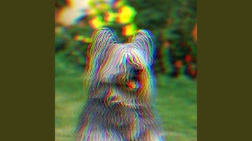 Pulsating Sleepy Hound Zone