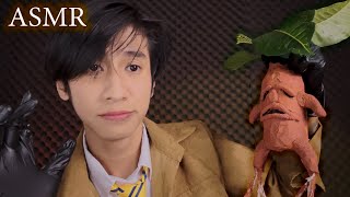 ASMR ช่วยคุณที่นอนสลบจาก แมนเดรกอันตราย ! Take care of you,Exam,(Harrypotter)(Roleplay)