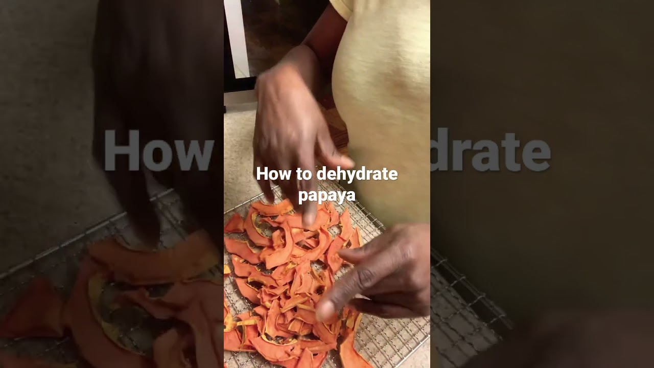 Dehydrated papaya into powder