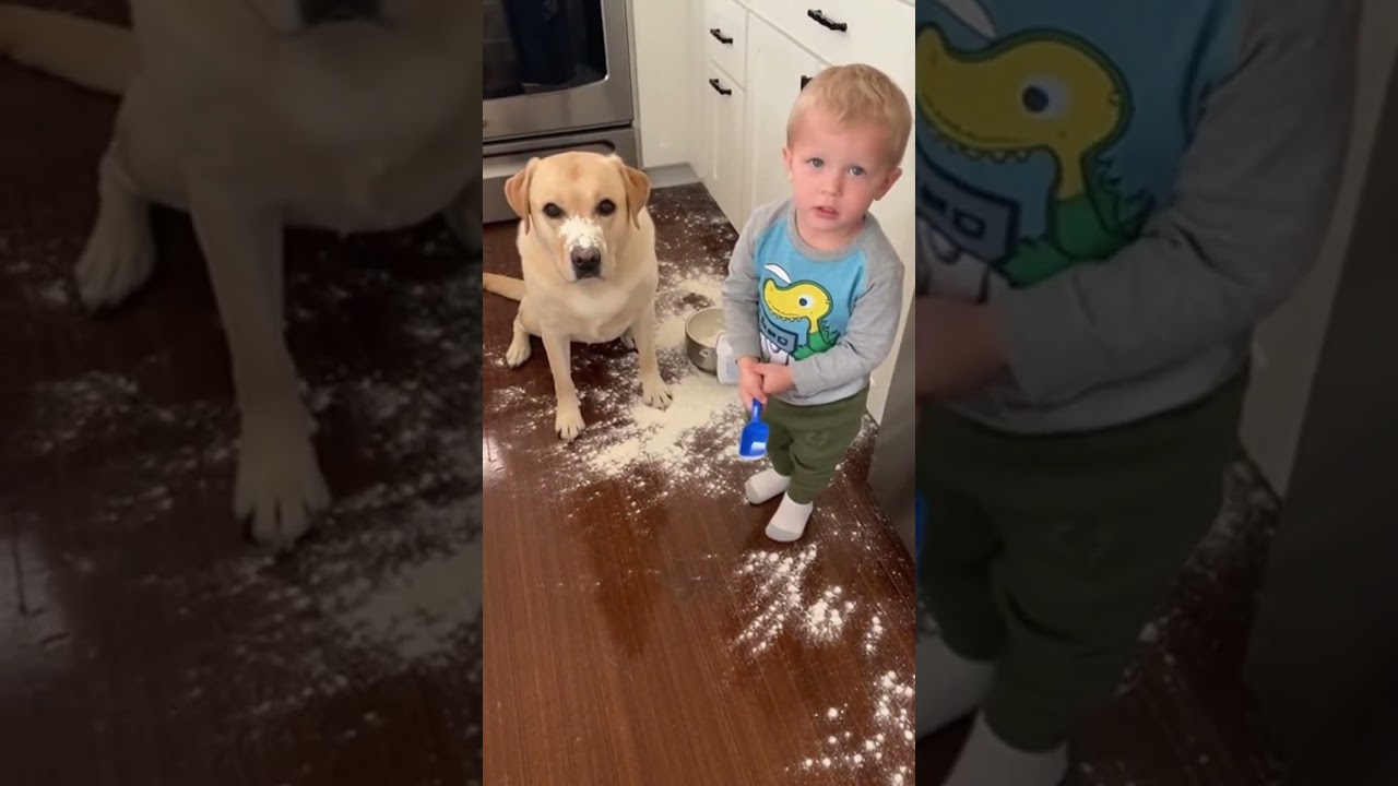 Toddler Points at Dog While Kitchen Looks Like a Flour Bomb Went Off 😂 