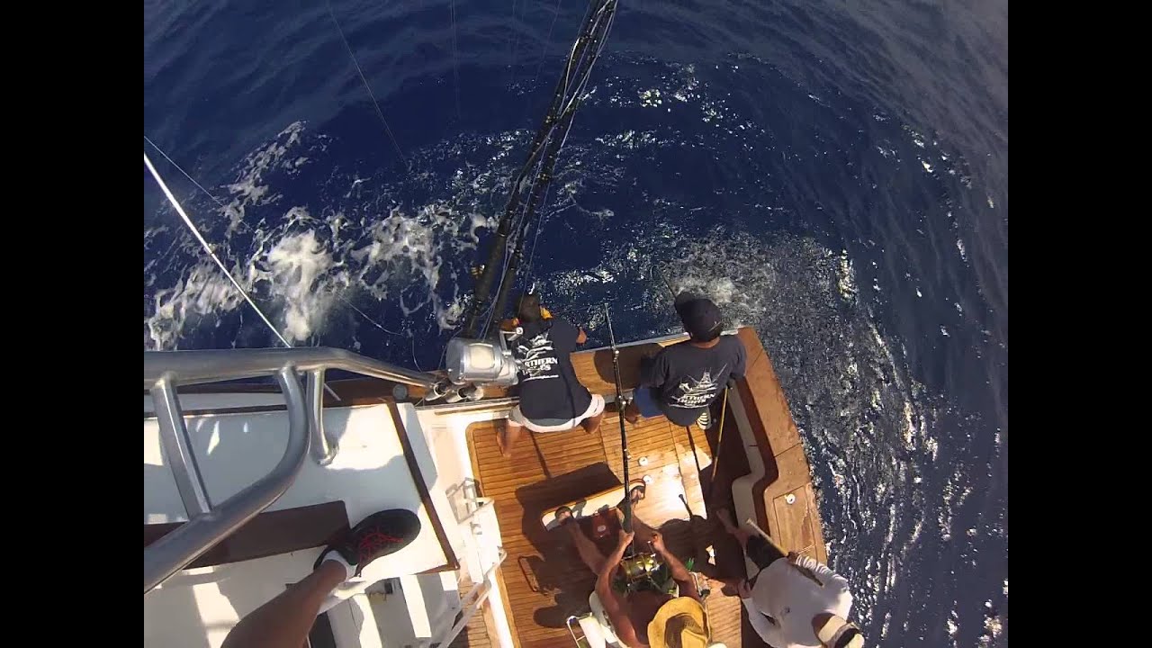 Kona Fishing on the Northern Lights, Hawaii YouTube
