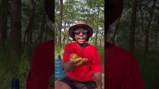 Tandoori Chicken 🐓 Cooking || Outdoor Cooking Chicken Rost || ##villagerecipeshorts