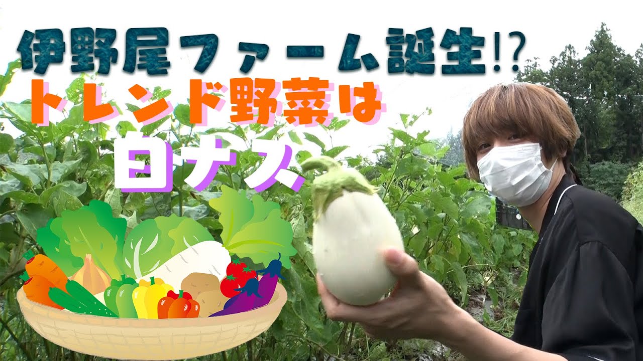 伊野尾くん畑に行く【イノ調の裏側41】