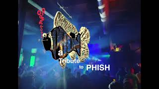 PHUN returns to the UW Terrace with Live Phish!