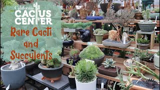 Cacti And Succulents So Amazing You Wont Believe What I Found At California Cactus Center