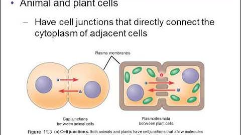 Chapter 11 cell communication intro with audio