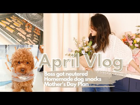 VLOG | BOSS NEUTERED | HOMEMADE DOG TREATS | MOTHER'S DAY FLOWERS PROMO | OXO UNBOXING