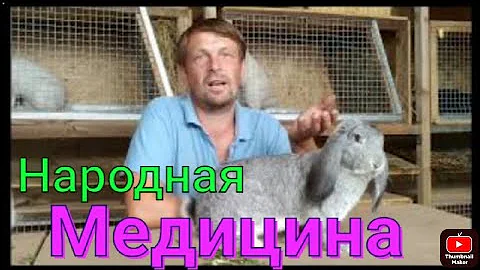 ЛЕЧЕНИЕ и ПРОФИЛАКТИКА болезней кроликов народными средствами.