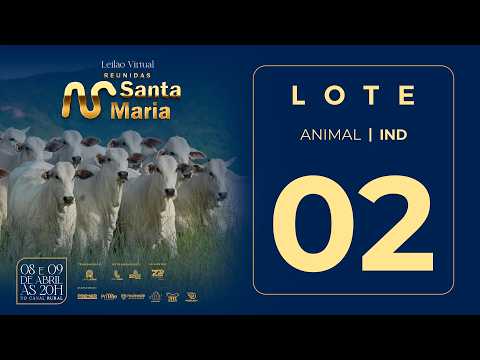 LOTE 02  FSMA 3231