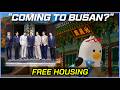 How Busan Fights BTS ARIRANG Concert Price Gouging (And How to Get Free Lodging)