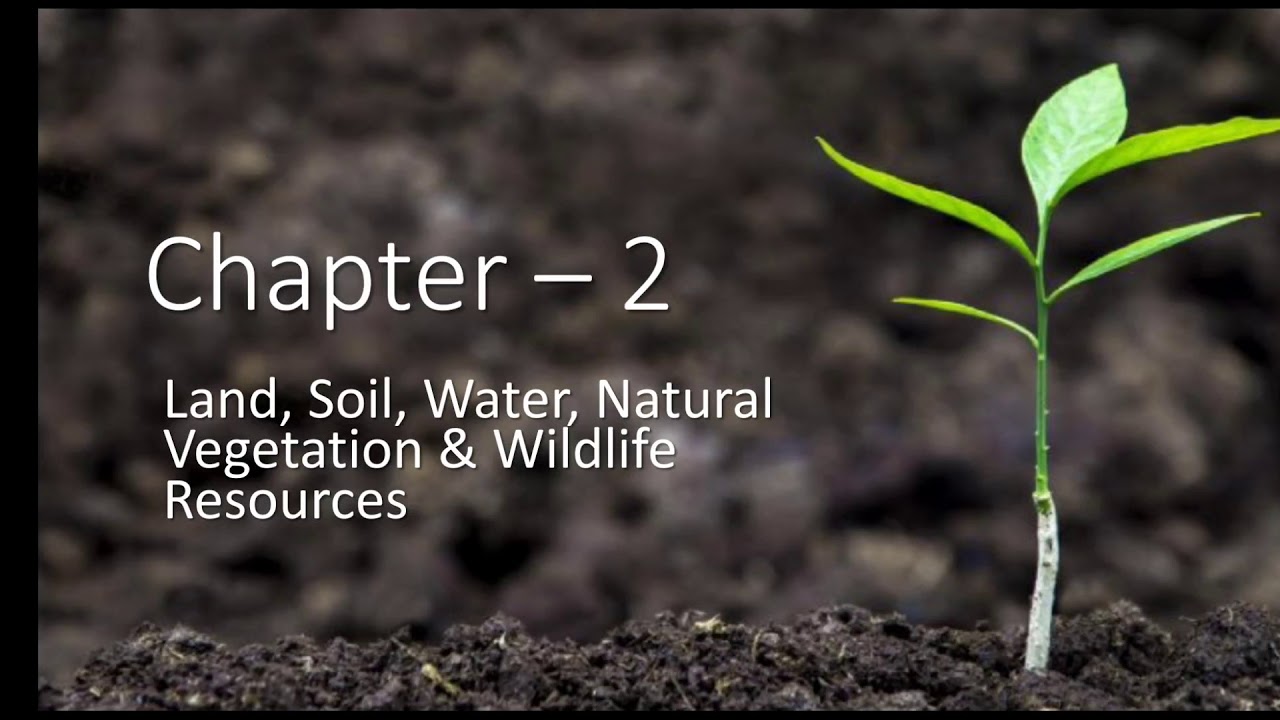 Class 8 Geography Chapter 2 Land Soil Water Natural Vegetation class-8-geography-chapter-2-land-soil-water-natural-vegetation
