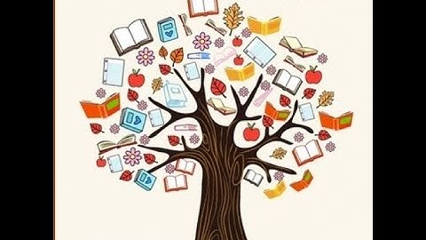 Library Highlights- YouTube Program Playlist