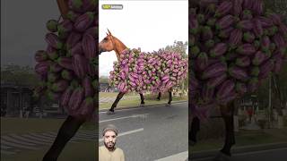 Relaxing clips on VBP satisfying #shorts #horse #satisfying #relaxingsatisfying #video #vbn #yawn