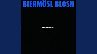 Video thumbnail of "Biermösl Blosn - 's Diandl liabn"