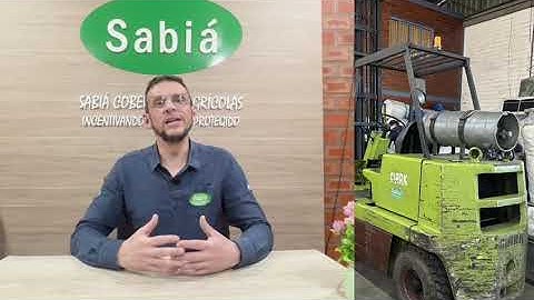 Projeto Temático II – Processos | Grupo 9 | Orientação: Luciani Tatsch Piemolini Barreto | 2025/4