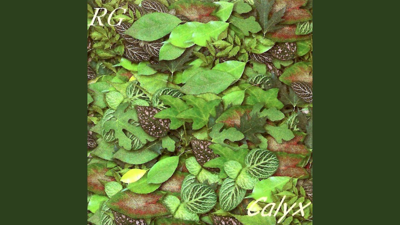 Watch On The Wing on YouTube Watch On The Wing on YouTube