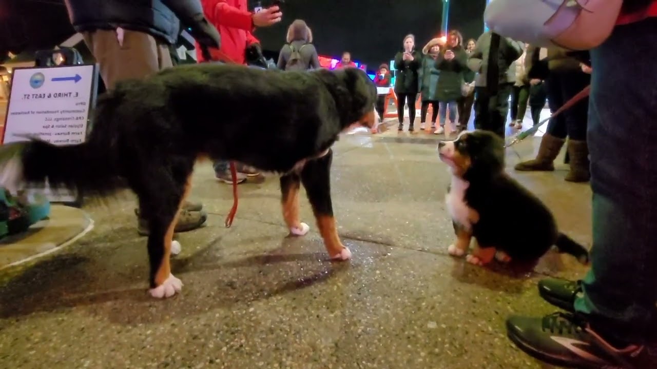 Where to Visit in Michigan - Where to  Find Fun Events In Michigan