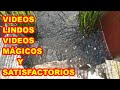 videos SATISFACTORIOS, imágenes HERMOSAS del 2021,  NO te pierdas la PENÚLTIMA ⚠️⚠️⚠️