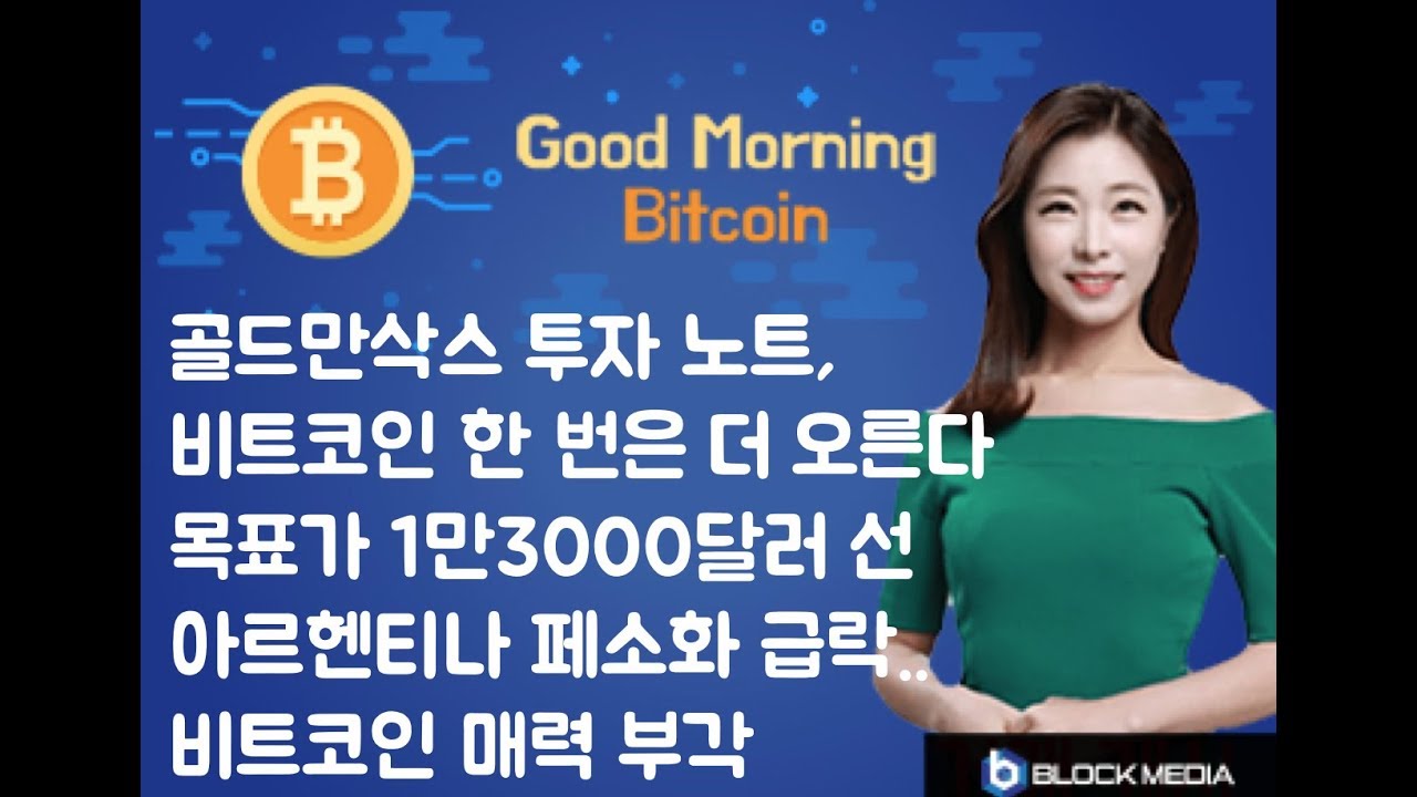 골드만 삭스 비트 코인 예측 (87) 사진
