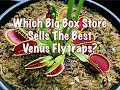 Which Big Box Store Sells The Best Venus Flytraps?