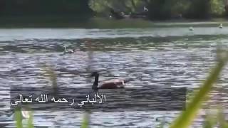 حديث شريف صحيح