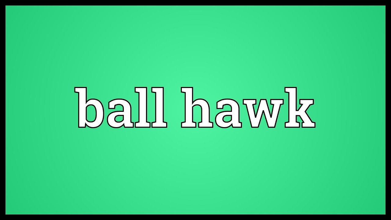 Ball hawk Meaning