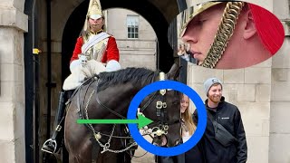 🐎 Clash of Duties: The King's Life Guard Shouts, while the Regal Horse Flirts with Tourists!