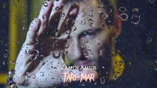 Zamin Amur -Tarimar Resimi