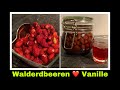 Erdbeerlikör ansetzen | Walderdbeeren und Vanille Rezept | Selbstversorgung