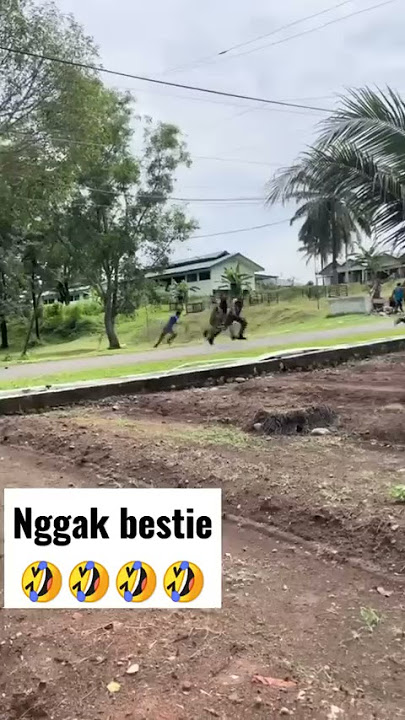 prajurit TNI perang dengan tawon ndas viral di Tik-tok ‼️ #ngakak #tni #abdinegara #lucu  #shorts