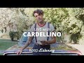 Cardellino - LIVE | Sofar Montevideo