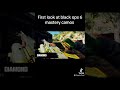 Bo6 mastery camos #callofduty #like #warzone #bo6 #blackops6 #zombiesurvival #cod #subscribe #foryou