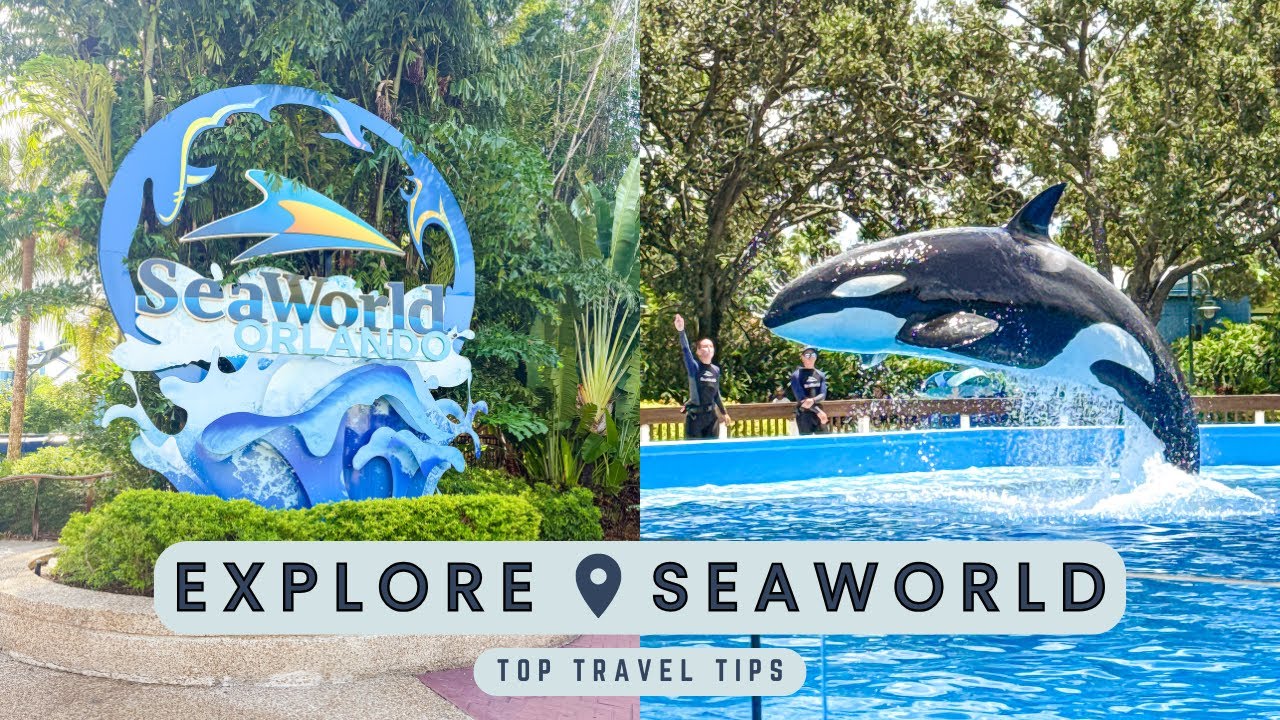 SEAWORLD ORLANDO — полный путеводитель по аттракционам, шоу, достопримечательностям и многому дру...