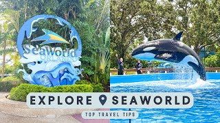Seaworld Orlando   Guide To The Rides Shows Attractions And More
