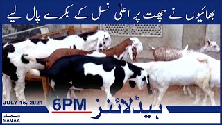 Samaa News Headlines pm 6pm | Bhaiyon ne chath pr aala nasal kay bakray paal liye | SAMAA TV