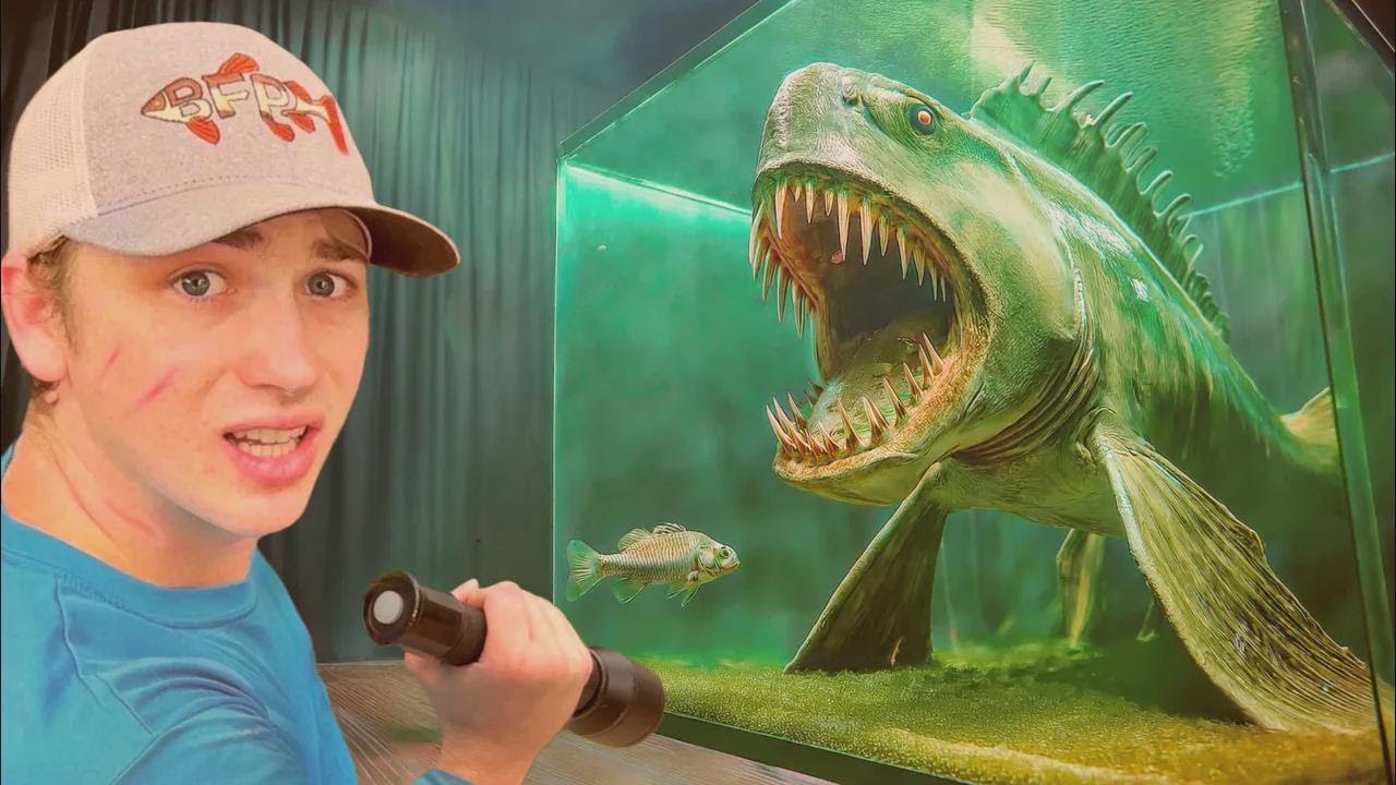J'ai acheté un poisson d'aquarium carnivore !
