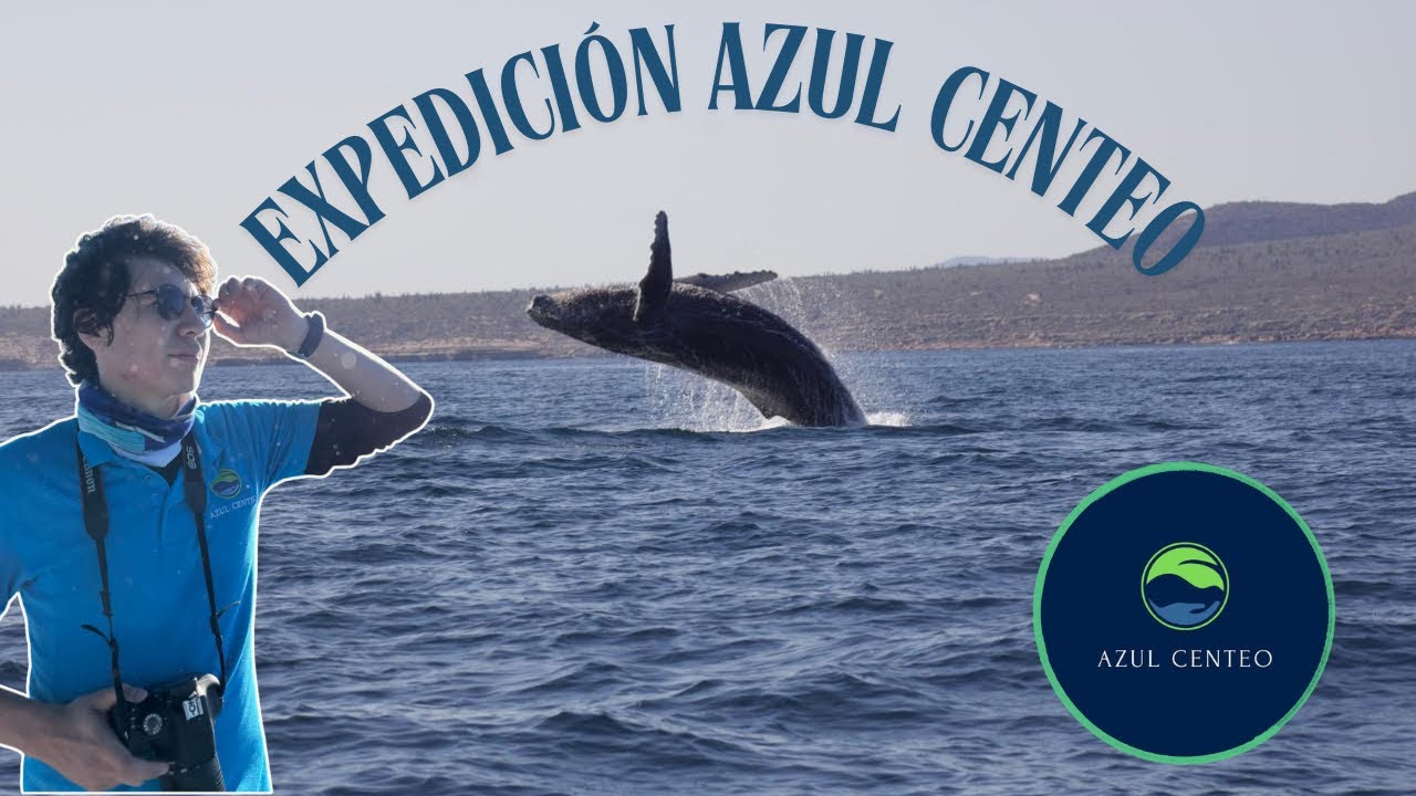 Cui Corrales: Así es una expedición de biología marina con Azul Centeo. 