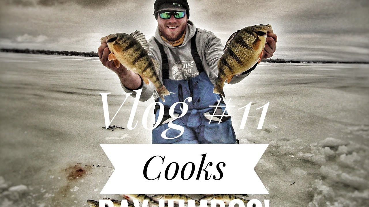 Download SR Fishing Vlog #12 - Cooks Bay Jumbos With A Surprise Catch!
