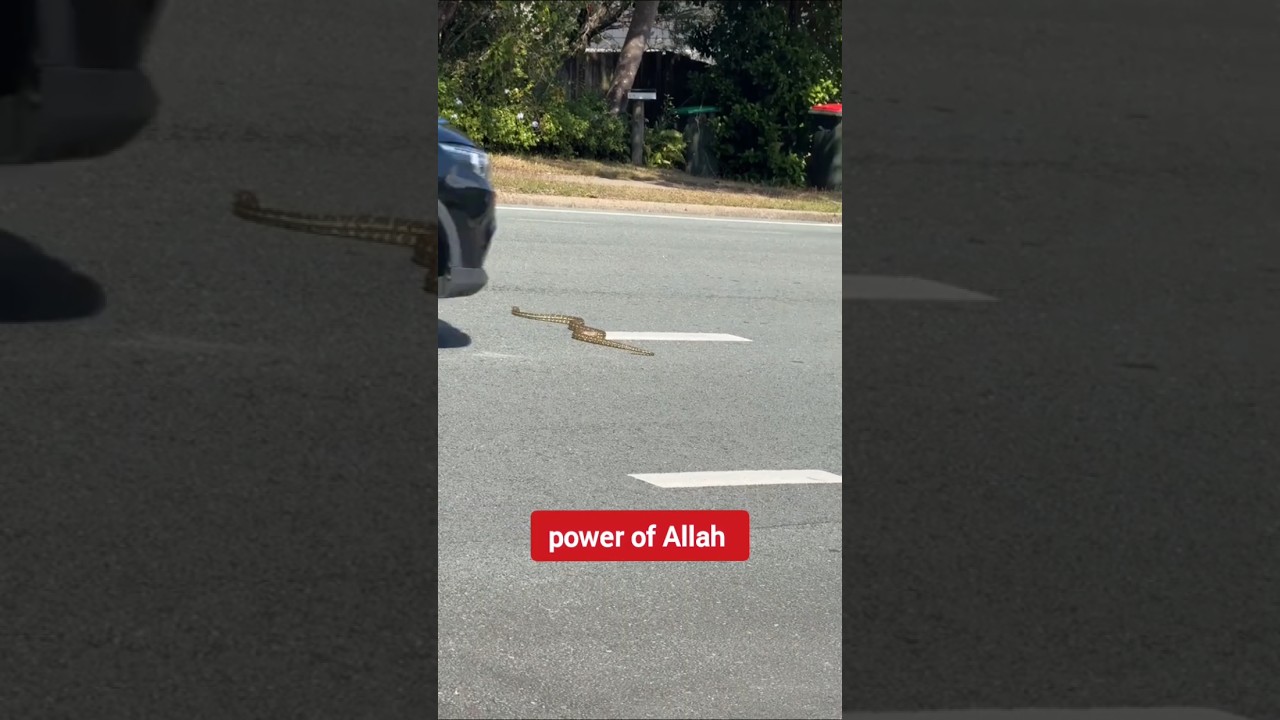 আল্লাহ সর্বশক্তিমান Almighty Allah #coversong