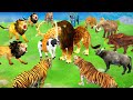 Mammoth elephant vs 10 giant tiger lion vs 10 cow buffalo fight cow buffalo saved by monster lion