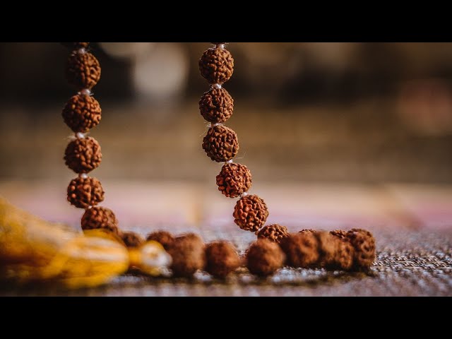 Rudraksha Images – Browse 1,483 Stock Photos, Vectors, and Video | Adobe  Stock