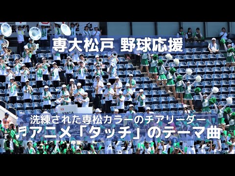 専大松戸 野球応援アニメ「タッチ」のテーマ曲  洗練された雰囲気のチアリーダーはお見事！（千葉県高校野球応援2018）